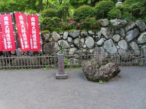 IMG_2975.jpg
