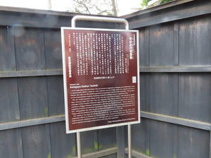IMG_2975.jpg