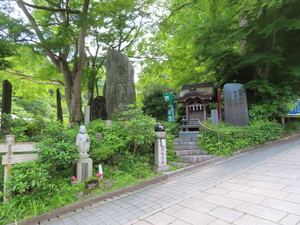 IMG_2978.jpg