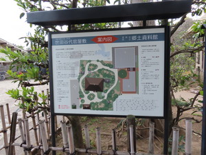 IMG_2978.jpg