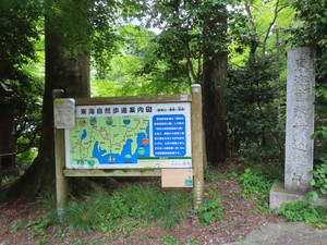 IMG_2979.jpg