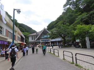 IMG_2981.jpg