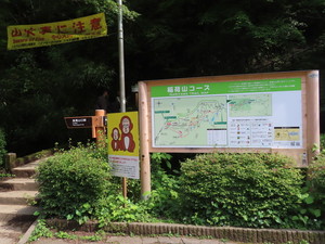 IMG_2984.jpg