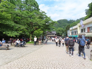 IMG_2985.jpg