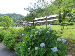 IMG_2990.jpg
