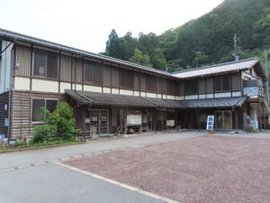 IMG_2992.jpg