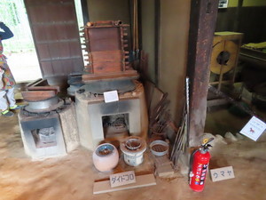 IMG_2994.jpg