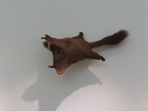 IMG_2995.jpg