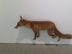 IMG_2997.jpg