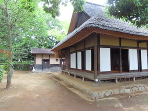 IMG_3000.jpg