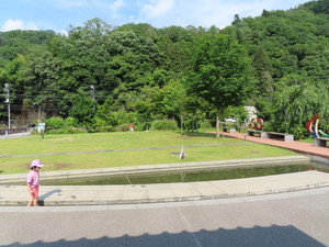 IMG_3004.jpg