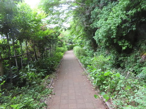 IMG_3010.jpg