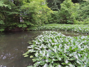 IMG_3019.jpg
