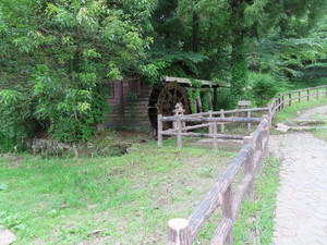IMG_3033.jpg