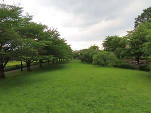 IMG_3034.jpg