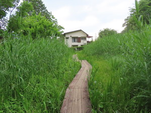 IMG_3037.jpg