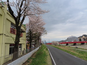 IMG_3069.jpg