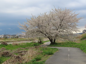 IMG_3072.jpg