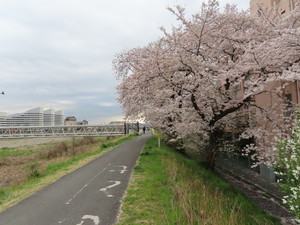 IMG_3079.jpg