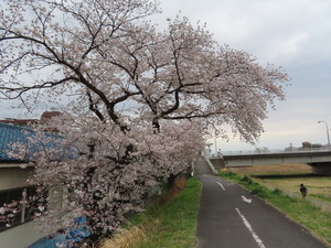 IMG_3082.jpg