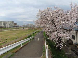 IMG_3083.jpg