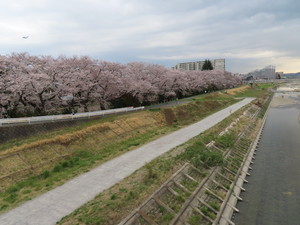 IMG_3085.jpg