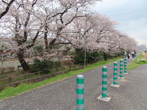 IMG_3091.jpg