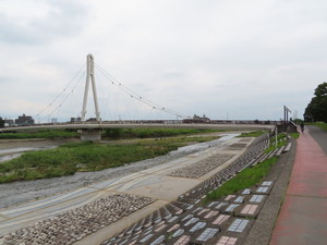 IMG_3097.jpg