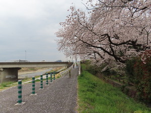 IMG_3100.jpg