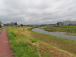 IMG_3111.jpg