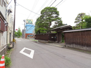 IMG_3123.jpg