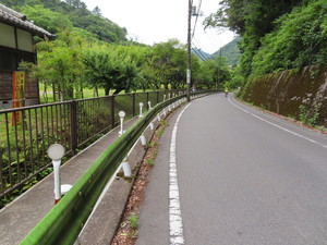 IMG_3194.jpg