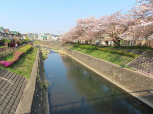 IMG_3284.jpg
