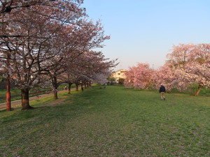 IMG_3319.jpg
