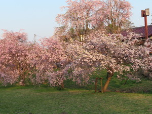 IMG_3320.jpg