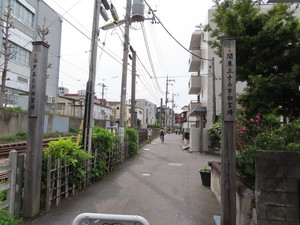 IMG_3336.jpg