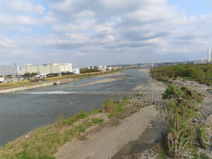 IMG_3361.jpg