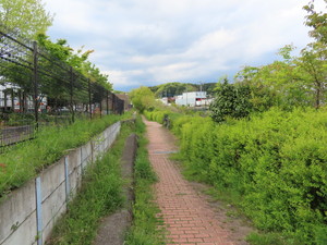 IMG_3442.jpg