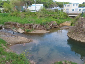 IMG_3445.jpg