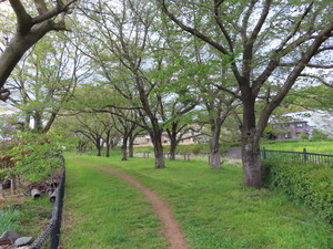 IMG_3446.jpg