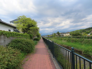 IMG_3450.jpg