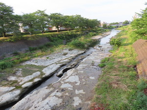 IMG_3516.jpg