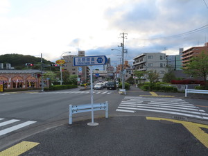 IMG_3537.jpg
