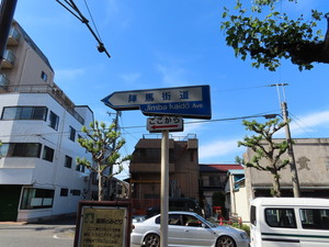 IMG_3555.jpg