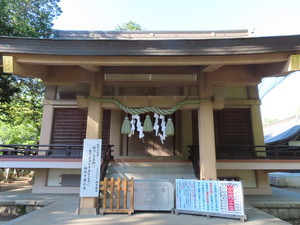 IMG_3574.jpg