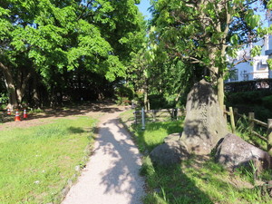 IMG_3640.jpg