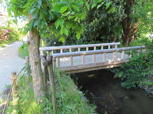 IMG_3642.jpg