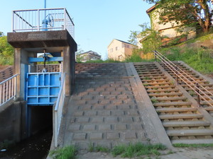 IMG_3693.jpg