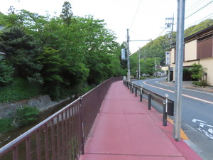 IMG_3720.jpg