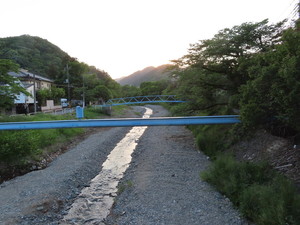 IMG_3722.jpg
